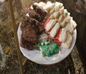 2018 12 22 Christmas 023